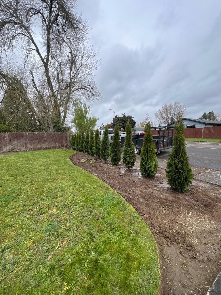 Front yard planting and bed prep in Salem Oregon by Giron Landscaping