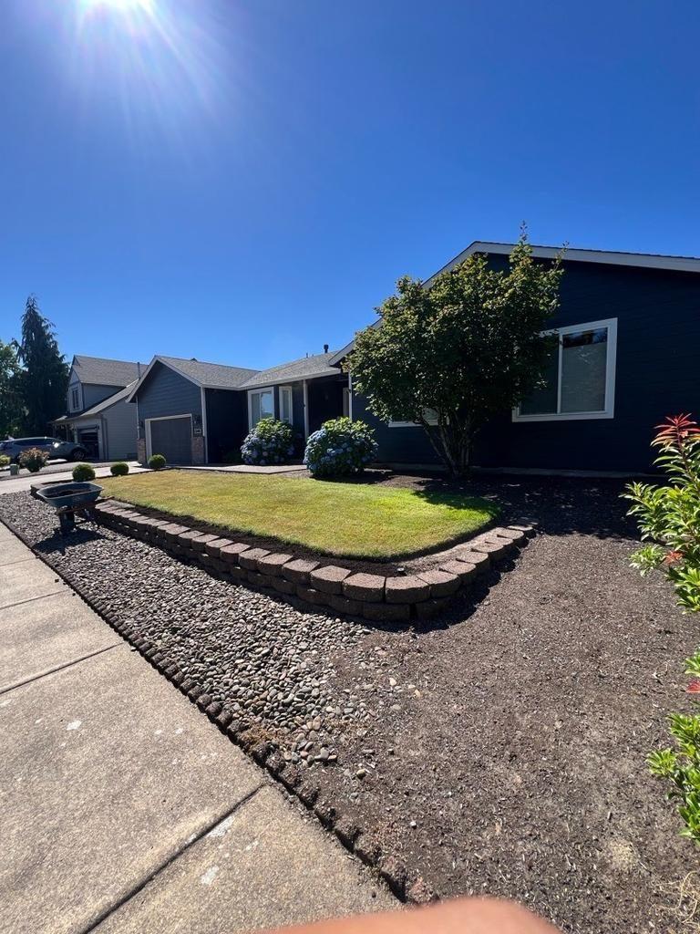 Front yard garden bed care with hydrangeas in Willamette Valley Oregon