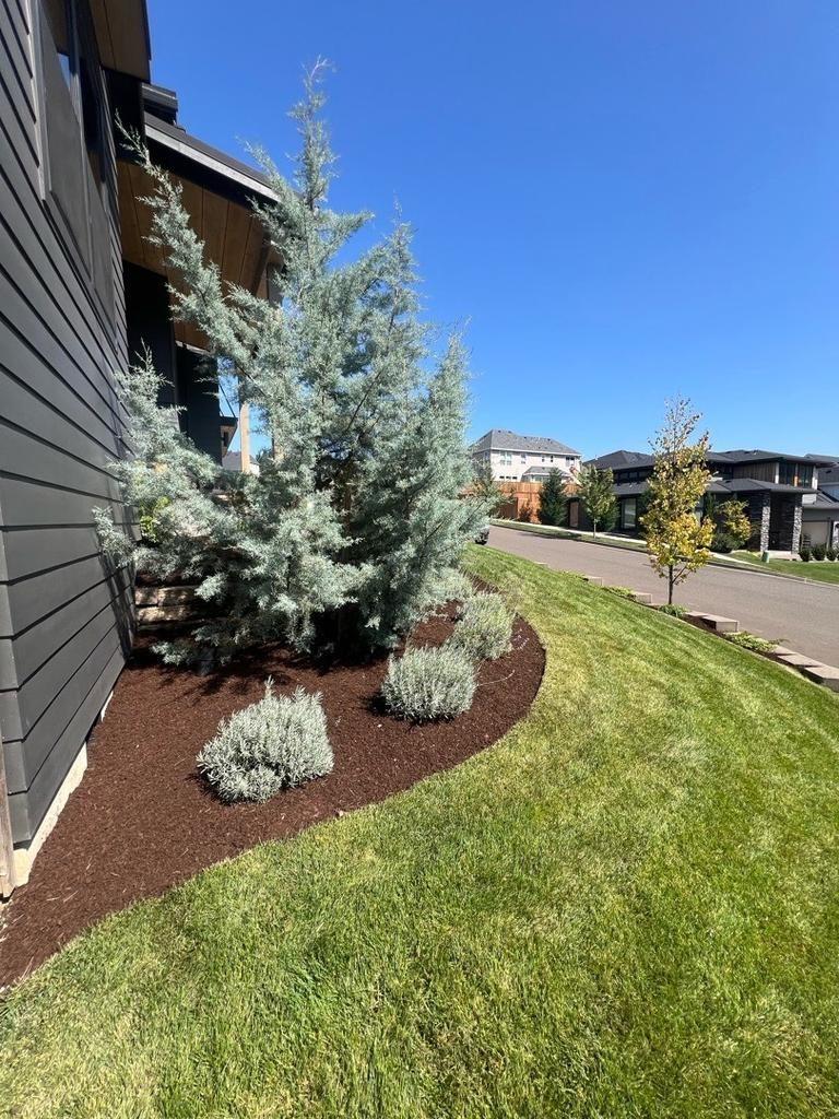 Garden bed care and seasonal planting in Silverton Oregon