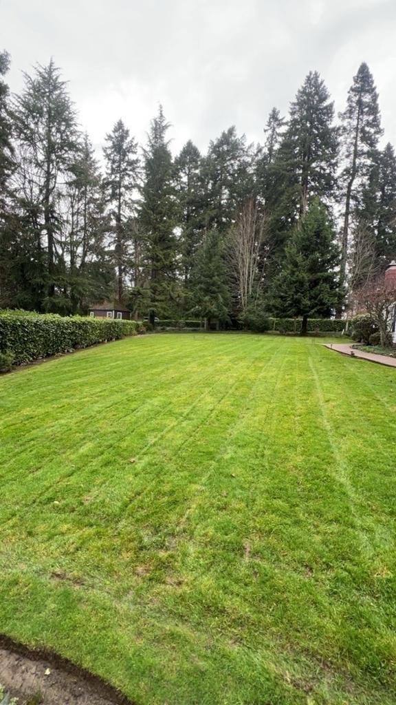 Garden bed preparation and mulching in Wilsonville Oregon